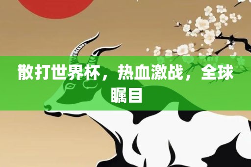散打世界杯，热血激战，全球瞩目