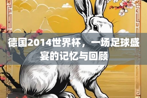 德国2014世界杯，一场足球盛宴的记忆与回顾