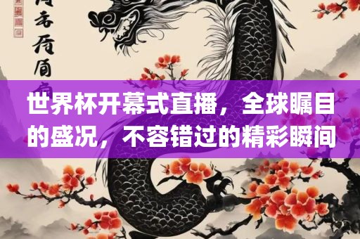 世界杯开幕式直播，全球瞩目的盛况，不容错过的精彩瞬间
