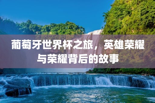 葡萄牙世界杯之旅，英雄荣耀与荣耀背后的故事