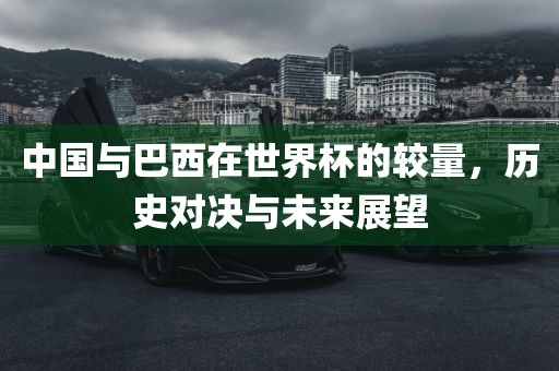 中国与巴西在世界杯的较量，历史对决与未来展望漯河市盈旭机械设备有限公司
