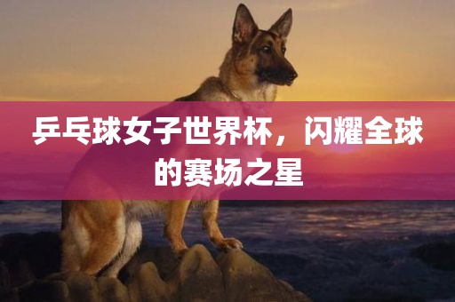 乒乓球女子世界杯，闪耀全球的赛场之星