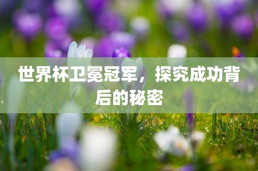 世界杯卫冕冠军，探究成功背后的秘密