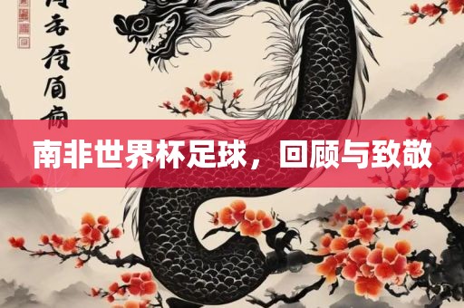 南非世界杯足球，回顾与致敬