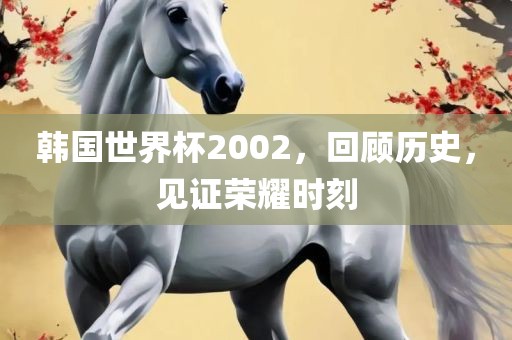 漯河市盈旭机械设备有限公司韩国世界杯2002，回顾历史，见证荣耀时刻