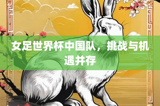 女足世界杯中国队，挑战与机遇并存漯河市盈旭机械设备有限公司