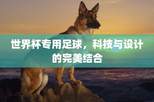 世界杯专用足球，科技与设计的完美结合