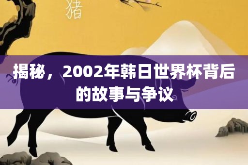 揭秘，2002年韩日世界杯背后的故事与争议漯河市盈旭机械设备有限公司