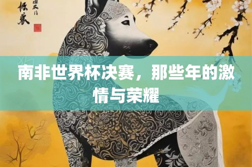 南非世界杯决赛，那些年的激情与荣耀