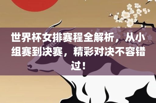 世界杯女排赛程全解析，从小组赛到决赛，精彩对决不容错过！