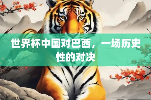 世界杯中国对巴西，一场历漯河市盈旭机械设备有限公司史性的对决