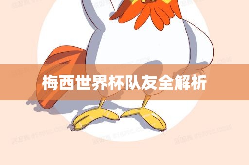 梅西世界杯队友全解析