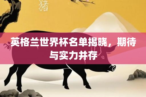 英格兰世界杯名单揭晓，期待与实力并存