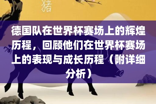 德国队在世界杯赛场上的辉煌历程，回顾他们在世界杯赛场上的表现与成长历程（附详细分析）漯河市盈旭机械设备有限公司
