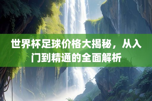 世界杯足球价格大揭秘，从入门到精通的全面解析
