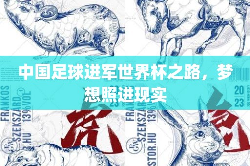 中国足球进军世界杯之路，梦想照进现实