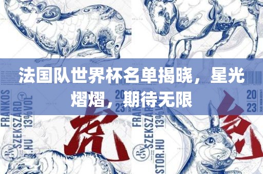 法国队世界杯名单揭晓，星光熠熠，期待无限漯河市盈旭机械设备有限公司