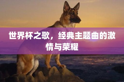 世界杯之歌，经典主题曲的激情与荣耀