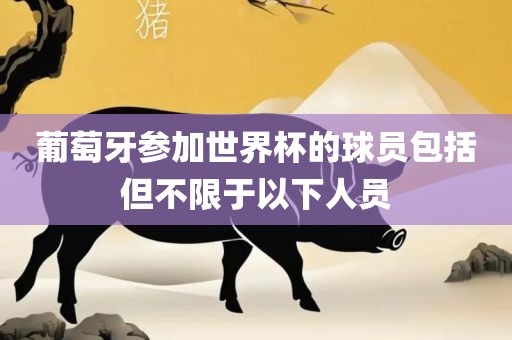 葡萄牙参加世界杯的球员包括但不限于以下人员