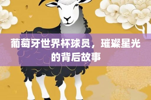 葡萄牙世界杯球员，璀璨星光的背后故事