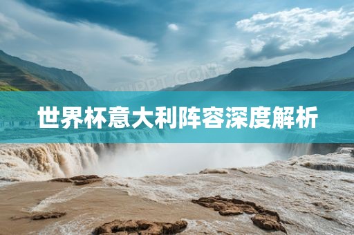 世界杯意大利阵容深度解析漯河市盈旭机械设备有限公司
