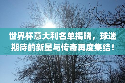 世界杯意大利名单揭晓，球迷期待的新星与传奇再度集结！