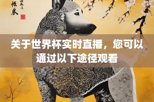 关于世界杯实时直播，您可以通过以下途径观看