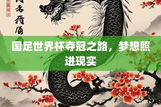 国足世界杯夺冠之路，梦想照进现实
