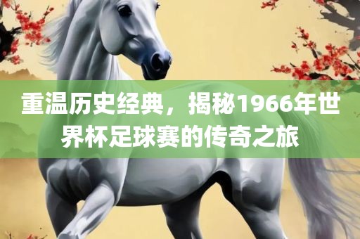 重温历史经典，揭秘1966年世界杯足球赛的传奇之旅