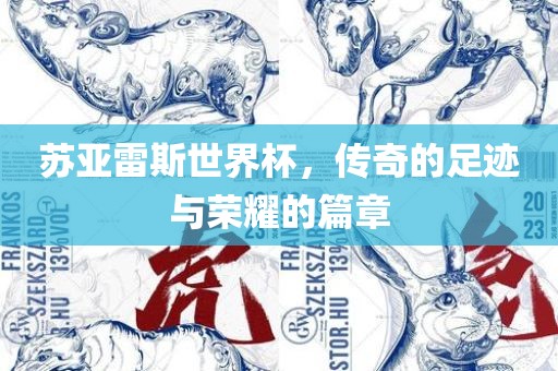 苏亚雷斯世界杯，传奇的足迹与荣耀的篇章