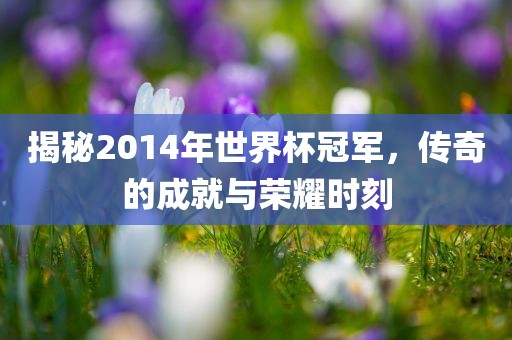 揭秘2014年世界杯冠军，传奇的成就与荣耀时刻漯河市盈旭机械设备有限公司