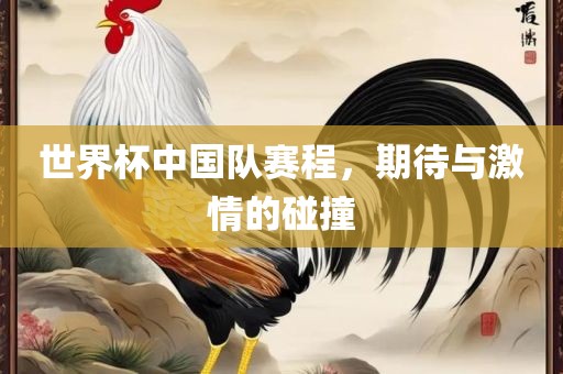 世界杯中国队赛程，期待与激情的碰撞