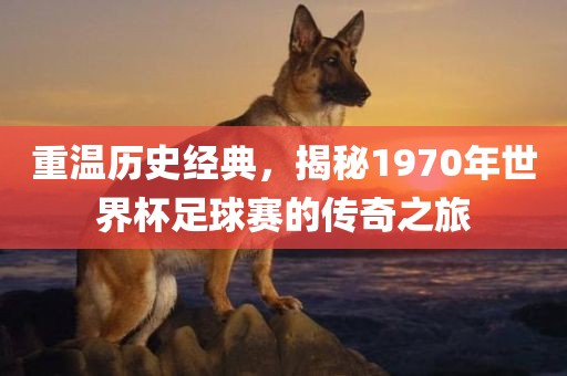 重温历史经典，揭秘1970年世界杯足球赛的传奇之旅漯河市盈旭机械设备有限公司
