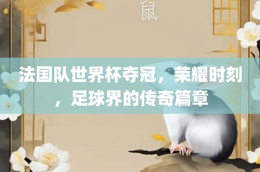 法国队世界杯夺冠，荣耀时刻，足球界的传奇篇章