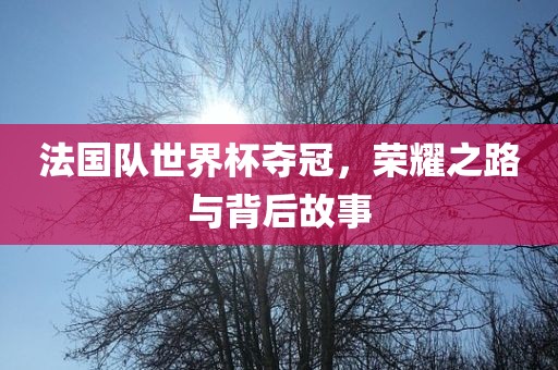 法国队世界杯夺冠，荣耀之路与背后故事