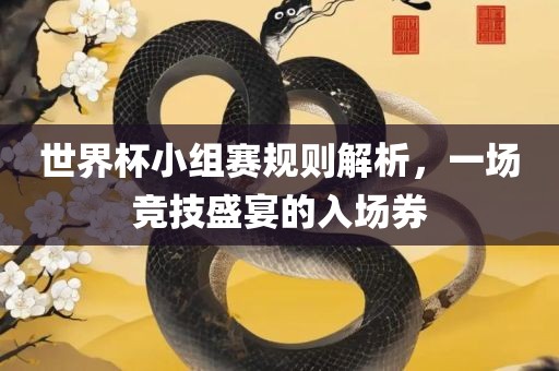世界杯小组赛规则解析，一场竞技盛宴的入场券