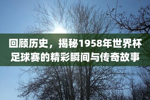 回顾历史，揭秘1958年世界杯足球赛的精彩瞬间与传奇故事