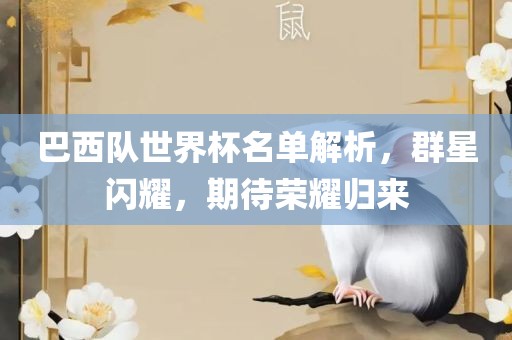 巴西队世界杯名单解析，群星闪耀，期待荣耀归来