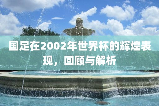 国足在2002年世界杯的辉煌表现，回顾与解析