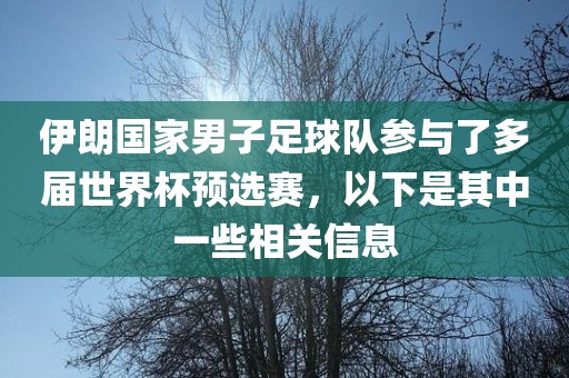 伊朗国家男子足球队参与了多届世界杯预选赛，以下是其中一些相关信息