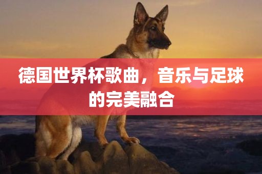 德国世界杯歌曲，音乐与足球的完美融合
