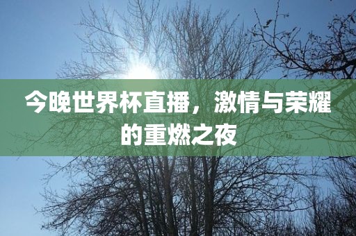 漯河市盈旭机械设备有限公司今晚世界杯直播，激情与荣耀的重燃之夜