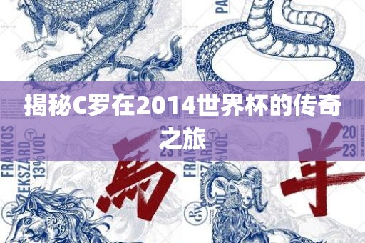 揭秘C罗在2014世界杯的传奇之旅漯河市盈旭机械设备有限公司