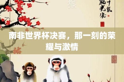 南非世界杯决赛，那一刻的荣耀与激情