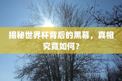 揭秘世界杯背后的黑幕，真相究竟如何？