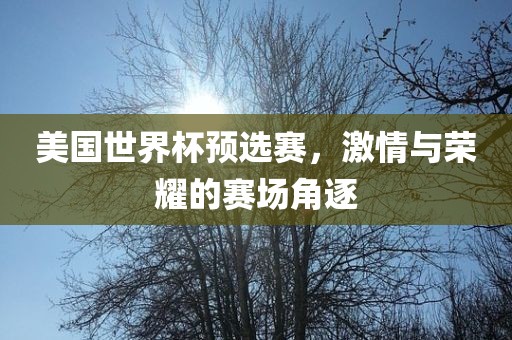 美国世界杯预选赛，激情与荣耀的赛场角逐