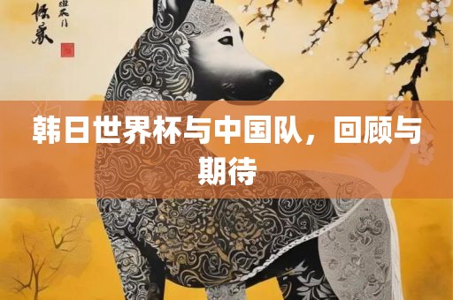 韩日世界杯与中国队，回顾与期待