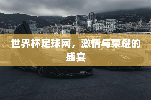 世界杯足球网，激情与荣耀的盛宴漯河市盈旭机械设备有限公司