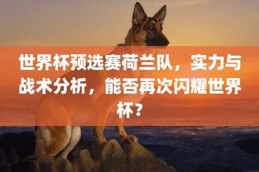 世界杯预选赛荷兰队，实力与战术分析，能否再次闪耀世界杯？