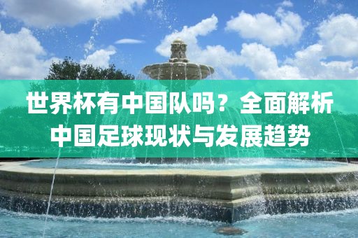 世界杯有中国队吗？全面解析中国足球现状与发展趋势漯河市盈旭机械设备有限公司